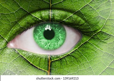 Green eye close up and leaf texture on face. Ecology concept 