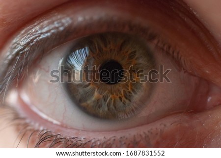 green eye of a young woman