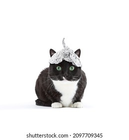 Green Eyed Tuxedo Cat In A Tin Foil Hat 