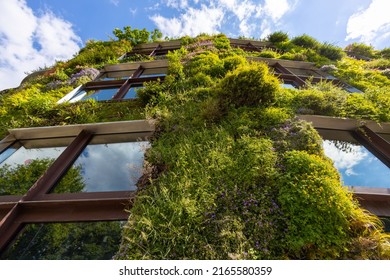Green facade ecological eco plants on the building - Shutterstock ID 2165580359