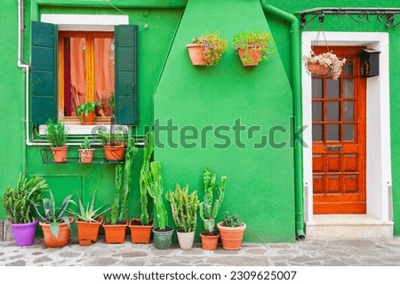 Green facade of the house with green flowers. Colorful architecture in Burano, Venice, Italy.