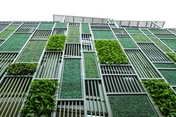 Green Facade, Vertical Garden In Architecture. Ecological Building. Green Architecture