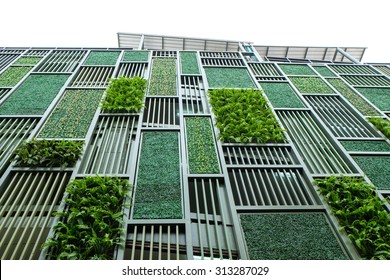 Green Facade, Vertical Garden In Architecture. Ecological Building. Green Architecture