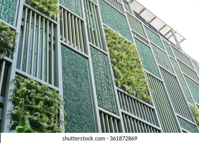 Green Facade, Vertical Garden In Architecture