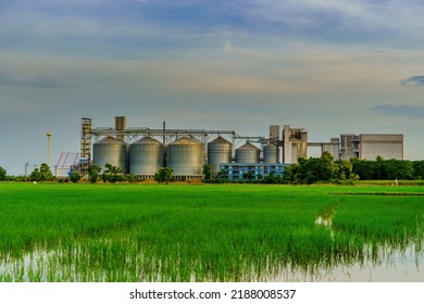 Green Factory.Factory With A Green Field.environmentally Friendly Factory With Roof Greening.