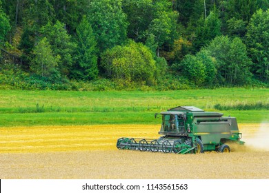 Green Farm Combine Harvester Harvests Ripe Yellow Wheat On Farm. Harvesting Of Field With Combine In Action. Combine Working On A Wheat Field With Green Forest On Background. A Countryside Of Sweden. 