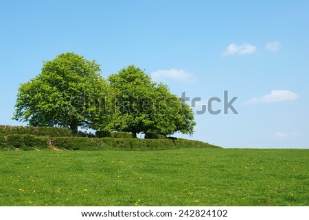 Green Farmland Field with Blue Sky Above