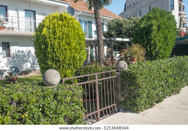 Green fence from evergreen plants dividing the\
street and private property. Keeps privacy and security. Landscape\
trimming design.