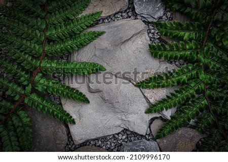 Green fern leaves on dark slate stone with imprints of shells. Black rock stones and green fern leaf. Abstract  geometric  products presentation backdrop 