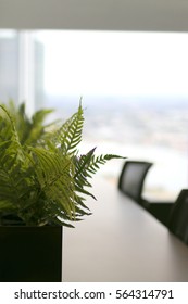 Green fern plant in pot on office desk with city landscape in the background