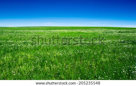 Similar – Image, Stock Photo Flax field in France