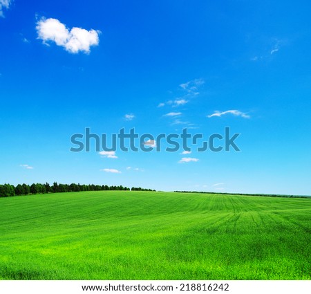 Similar – Image, Stock Photo growing maize field