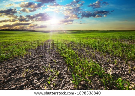 Similar – Foto Bild Landwirtschaftliche Felder in einem Dorf in Spanien.