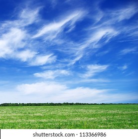 Green Field And Blue Sky