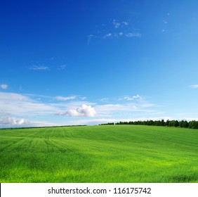 Green Field And Blue Sky