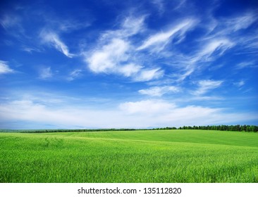 Green Field And Blue Sky