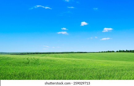 Green Field And Blue Sky