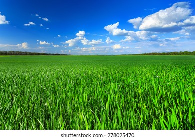 2,570,869 Green field with blue sky Images, Stock Photos & Vectors ...