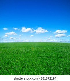 333,574 Green Pasture Blue Sky Images, Stock Photos & Vectors 