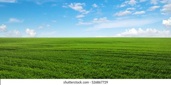 Green Field And Blue Sky