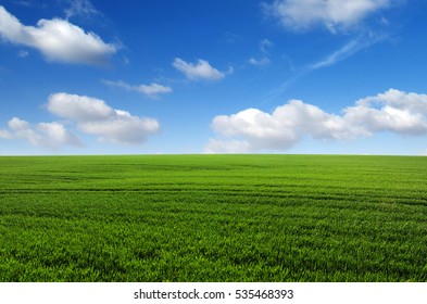 Green Field Blue Sky Stock Photo 535468393 | Shutterstock