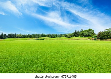 Green Field And Blue Sky