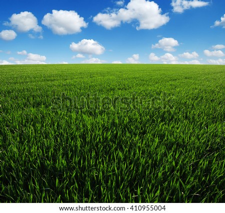 Similar – Image, Stock Photo growing maize field