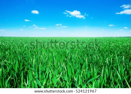 Similar – Image, Stock Photo agriculture Close-up