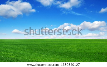 Green field and blue sky with clouds.