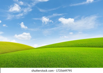 green field and blue sky with light clouds, Sunset in German summer field.