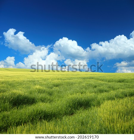 Similar – Image, Stock Photo cornfield Environment