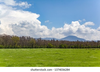 Green field with clouds.