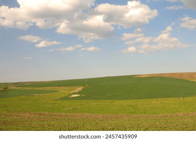 A green field with clouds