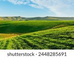 green field in countryside farm at sunset in evening light. beautiful spring landscape in hills. grassy field and hill. rural scenery