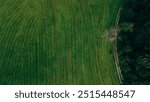 Green field, with distinct lines and textures running through the grass.  This serene, natural landscape captures the peaceful coexistence of rural farmland and dense woodland, viewed from above