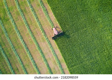 A green field with fodder grasses. Part of the field is mowed by a working self-propelled mower. The mown grass is laid in rolls. Shooting from a drone.