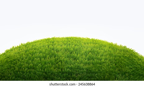 green field of fresh grass isolated on white. natural easter background