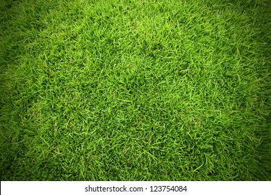 Green Field Of Grass Background