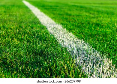 Green Field Grass On Sport Stadium - Stock Photo