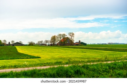 Green field grass under blue sky and vintage  farm house in the summer, Dutch countryside. Side seeing view in Friesland, a province of the Netherlands located in the northern part of the country.