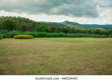 Green field land for development.