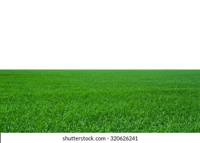 Green Field Landscape