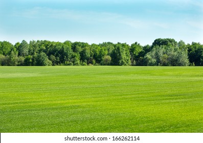 Green Field With A Lawn Grass, Trees And Sky On A Horizon 