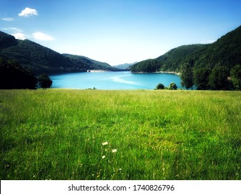 Green Field Near A Lake