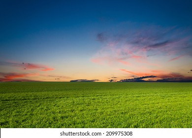 Green Field In The Night