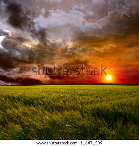 Similar – Image, Stock Photo Summer sunset in mountain village. Beautiful colorful evening