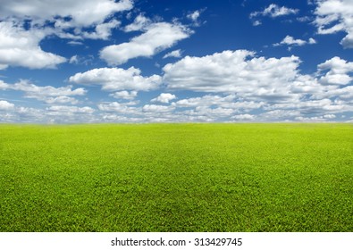 Green Field And Sky