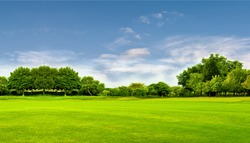 Green Field, Tree And Blue Sky.Great As A Background,web Banner