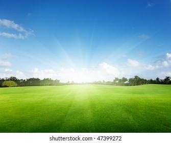 Green Field And Trees