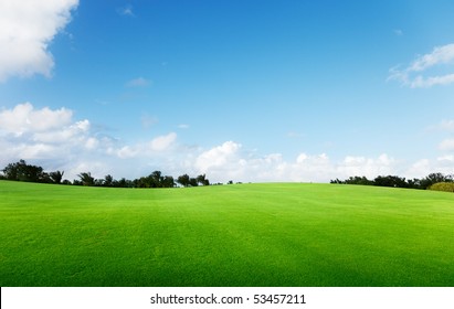 Green Field And Trees